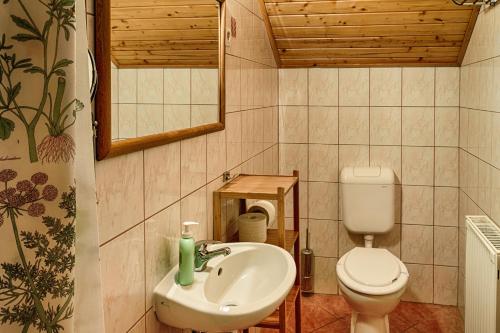 a bathroom with a toilet and a sink at Ópusztaszeri Erdei Wellness Vendégház in Ópusztaszer