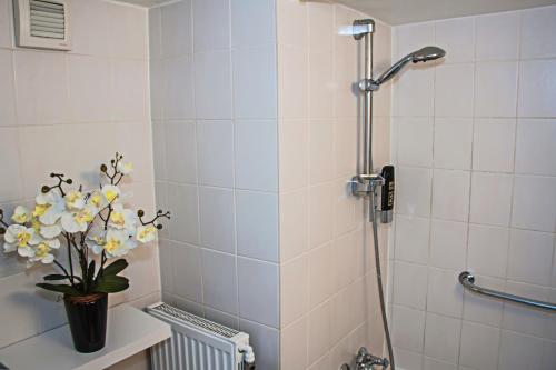 ゴスラーにあるKöpi Appartementsのバスルーム(花瓶付きのシャワー付)