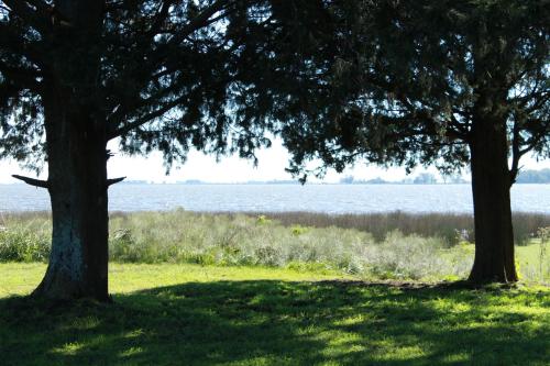 two trees in a field with the water in the background at Estancia Laguna Vitel in Chascomús