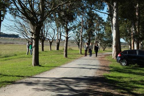 a group of people walking down a tree lined road at Estancia Laguna Vitel in Chascomús