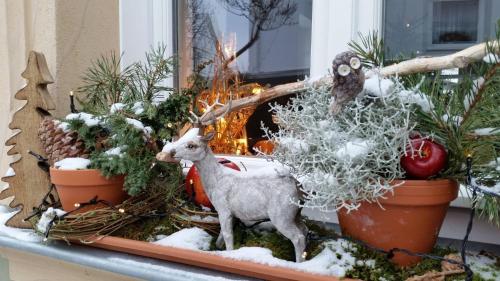 a figurine of a goat in a display of christmas plants at Luisenhof in Geisfeld