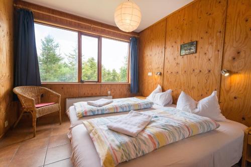 1 dormitorio con 2 camas en una habitación con paredes de madera en Brekkulækur Guesthouse, en Laugarbakki