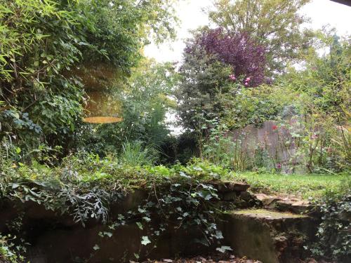 a garden with a stone path and plants at La Maison Du Bulot in Fruges