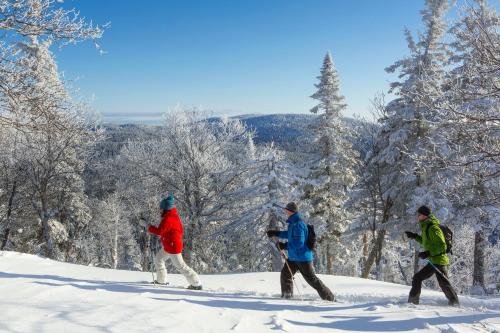 a group of three people walking up a snow covered slope at Auberge de Montagne des Chic-Chocs Mountain Lodge - Sepaq in Sainte-Anne-des-Monts