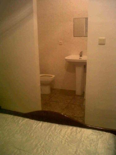 uma casa de banho com um WC e um lavatório em Hostal Medina em Olvera