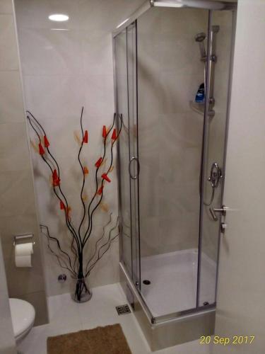 un bagno con doccia con fiori rossi dipinti sul muro di Apartment Frida a Belgrado