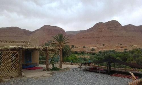 a view of a desert with a palm tree and mountains at Luna del fuego in Ifri