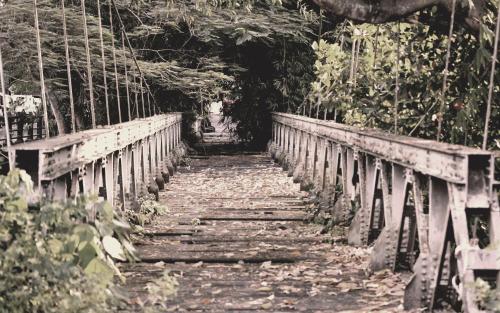 a bridge in a forest with a person walking across it at Griya Sriwedari in Ubud