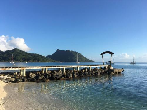 a group of birds sitting on a dock in the water at Fare Kahaia in Fare