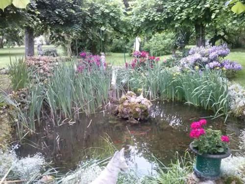 a garden with a pond with flowers in it at La CRAPOUNETTE in Pierry