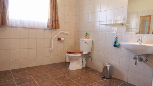 a bathroom with a toilet and a sink at Dornhuegel Guest Farm in Groutfontein