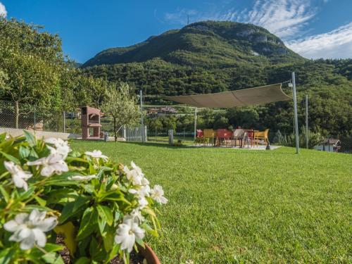 a field of grass with a mountain in the background at La Gazza Ladra Apartments - Garda Chill Out in Drena
