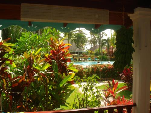 Ein Garten an der Unterkunft Hotel Playa Colibri