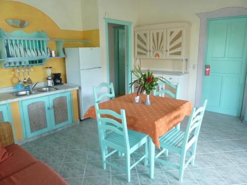 Küche/Küchenzeile in der Unterkunft Hotel Playa Colibri