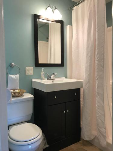 a bathroom with a sink and a toilet and a mirror at Beachcomber Inn in Conesus