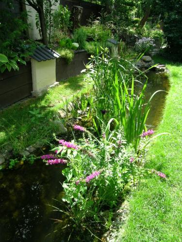 a garden with pink flowers and a pond at Ferienhaus Sonnenhang in Matrei in Osttirol