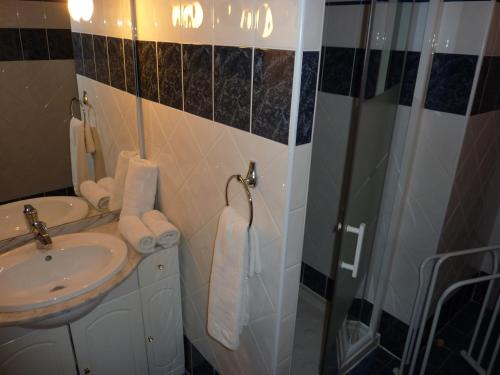 a bathroom with a sink and a shower at Résidence Casa Régina in Propriano