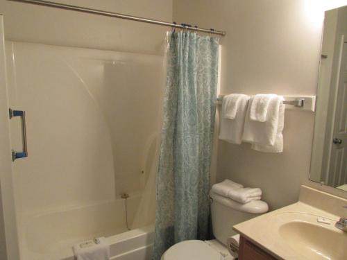 a bathroom with a shower and a toilet and a sink at Douglas Inn & Suites, Blue Ridge, GA in Blue Ridge