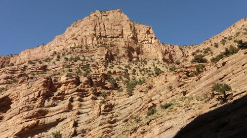 a large rocky mountain with trees on it at Dar Essalama Dades in Akhendachou nʼAït Ouffi