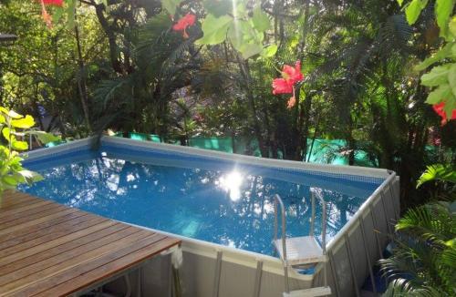 a swimming pool with a chair in a garden at J Bay : Burnt Toast Surfcamp in Nosara