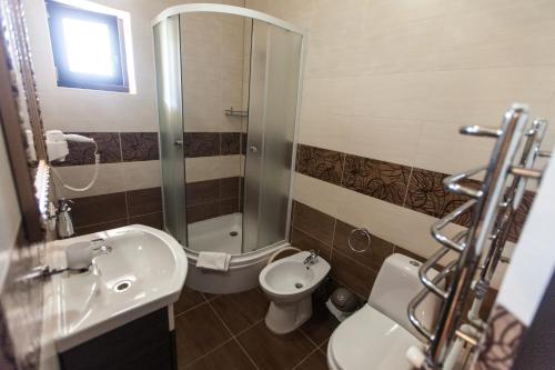 a bathroom with a sink and a toilet and a shower at Oasis Karpat in Polyana