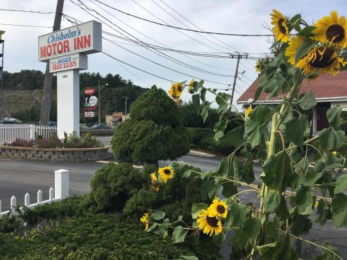 a sign for a motor inn with sunflowers at Chisholm's Motor Inn in Saugus