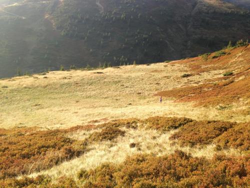 a person standing on top of a grassy hill at Янтри in Dragobrat