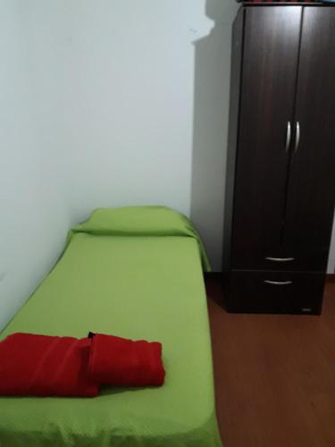 - une chambre avec un lit vert et une armoire dans l'établissement Hospedaje Kaupen, à Ushuaia