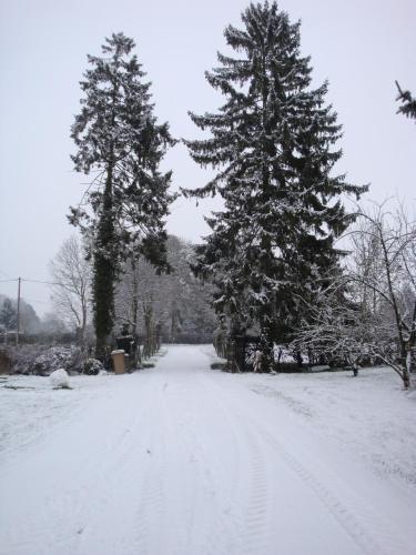 a snow covered road with two pine trees on it at Ferme de la Cacheterie, in Fleury-la-Forêt