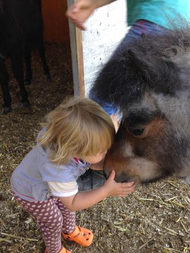 a little girl is kissing a brown donkey at Eichhof Brienzwiler Berner Oberland in Brienzwiler