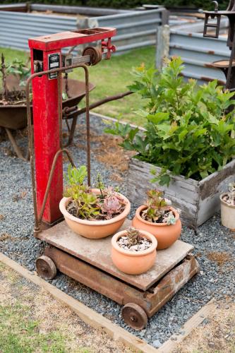 three potted plants sitting on top of a cart at Brahman Hills - Gardens, Hotel & Cottages in Nottingham Road