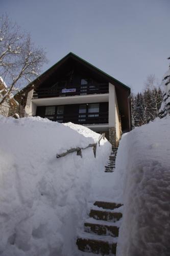 a snow covered staircase in front of a house at Apartmán Schovánek in Harrachov