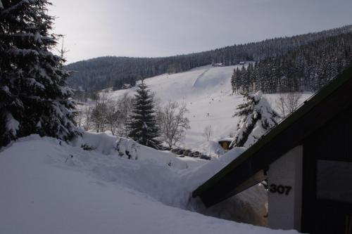 a snow covered slope with trees and a mountain at Apartmán Schovánek in Harrachov