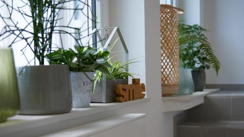 a shelf with potted plants on a window sill at City Hotel ApartW3 - kostenlos parken in Bad Oeynhausen