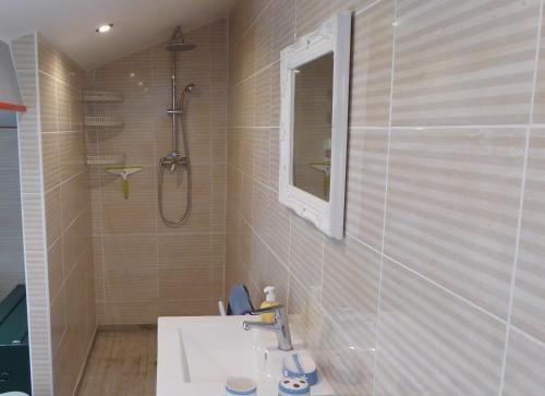 ein Bad mit einem Waschbecken und einer Dusche in der Unterkunft Dans un jardin in Apremont-la-Forêt