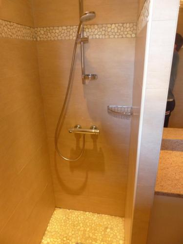 La salle de bains est pourvue d'une douche avec un tuyau. dans l'établissement Appartement face à la mer, à La Croix-Valmer