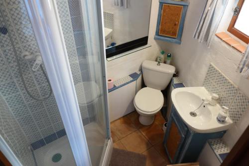 a small bathroom with a toilet and a shower at Au Pied du Château in Gréolières les Neiges
