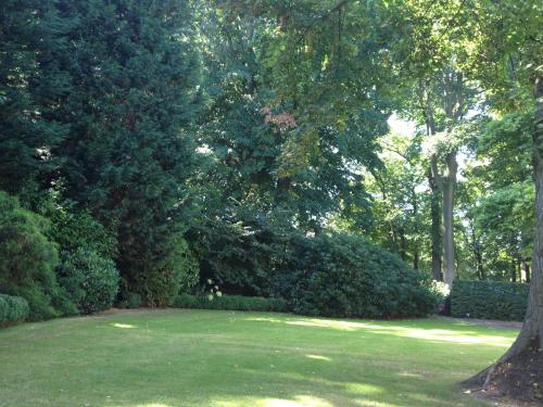 a green yard with a tree and some bushes at B&B 't Wit Huys Brugge in Bruges