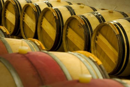 a row of wine barrels in a cellar at Domaine de la Soucherie - Chambres d'hôtes in Beaulieu-sur-Layon