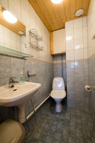 a bathroom with a sink and a toilet at Ylläksen Yöpuu in Äkäslompolo