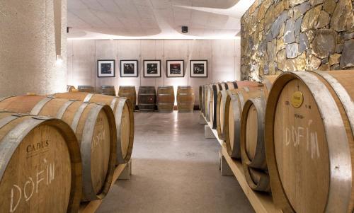 a row of wine barrels in a wine cellar at Fana Estate in Dobrovo