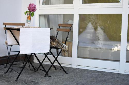 Afbeelding uit fotogalerij van City Appartement in Markdorf