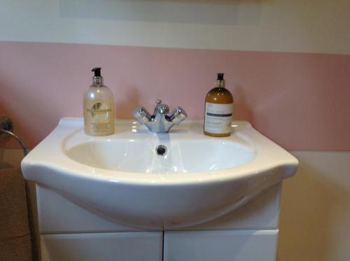 a bathroom sink with two bottles on top of it at East Hillerton House in Crediton