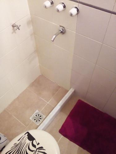 a bathroom with a shower with a toilet and a purple rug at Oroño 1 in Rosario