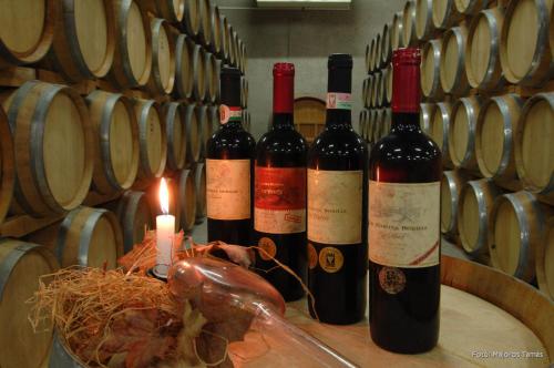 four bottles of wine on a table in a wine cellar at Borostyán Vendégház Eger in Eger
