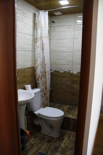 a bathroom with a toilet and a sink at Mini House in Alaverdi