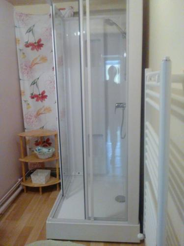 une douche avec une porte vitrée dans une salle de bain dans l'établissement Vacances au pied des Monts du Cantal, à Laveissière
