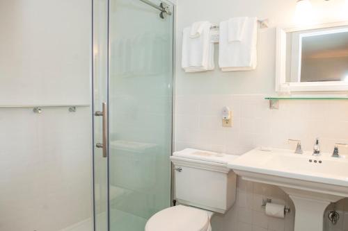 a bathroom with a shower and a toilet and a sink at Orchard Inn in Saluda