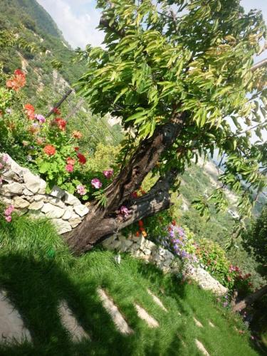 Fotografie z fotogalerie ubytování El Achkar Guesthouse v destinaci Beït ed Dîne