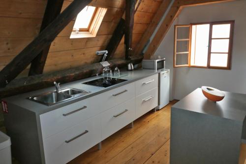 Kuchyň nebo kuchyňský kout v ubytování Apartment Soukenicka 44